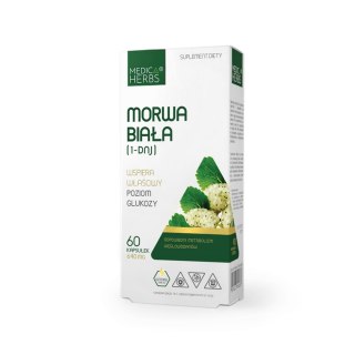 Medica Herbs Morwa Biała (1-DNJ) 60 kapsułek