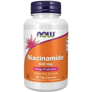 NOW Foods Niacynamid (witamina B3) 500mg 100 kapsułek