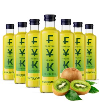 FYK Kombucha Kiwi 0,25l