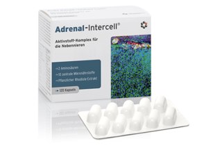 Mito-Pharma Adrenal-Intercell 120 kapsułek