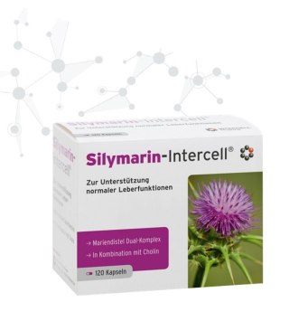 Mito-Pharma Silymarin-Intercell 120 kapsułek