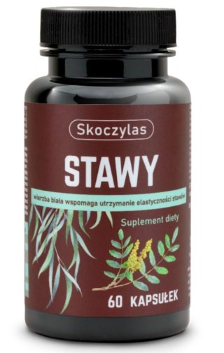 Skoczylas Stawy 60 kapsułek