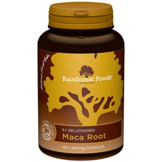 Rainforest Foods EKO Korzeń Maca 500 mg 120 kapsułek