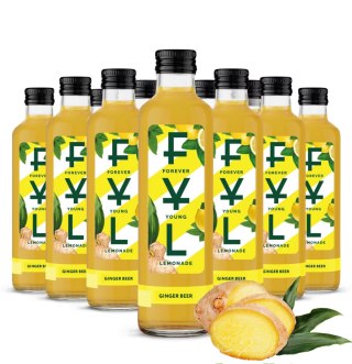 FYK Lemonade Ginger Beer 0,25l