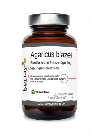 Kenay Agaricus Blazei Pieczarka brazylijska 500 mg 60 kapsułek